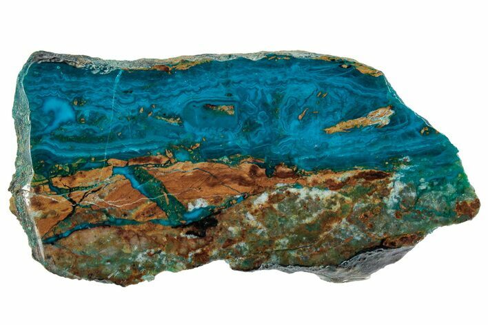 Polished Banded Chrysocolla and Malachite - Bagdad Mine, Arizona #315643
